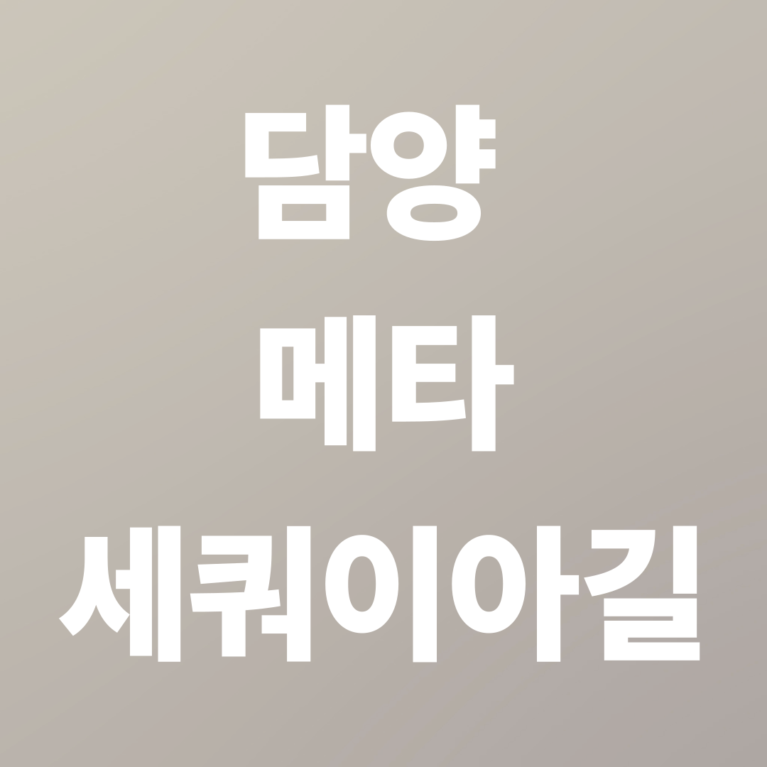 북유럽 감성 설경 산책, 북유럽 감성 설경 산책