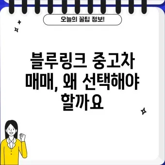 &amp;quot;블루링크에