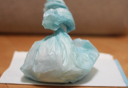 개 혈변을 쉽게 생각하지 마라