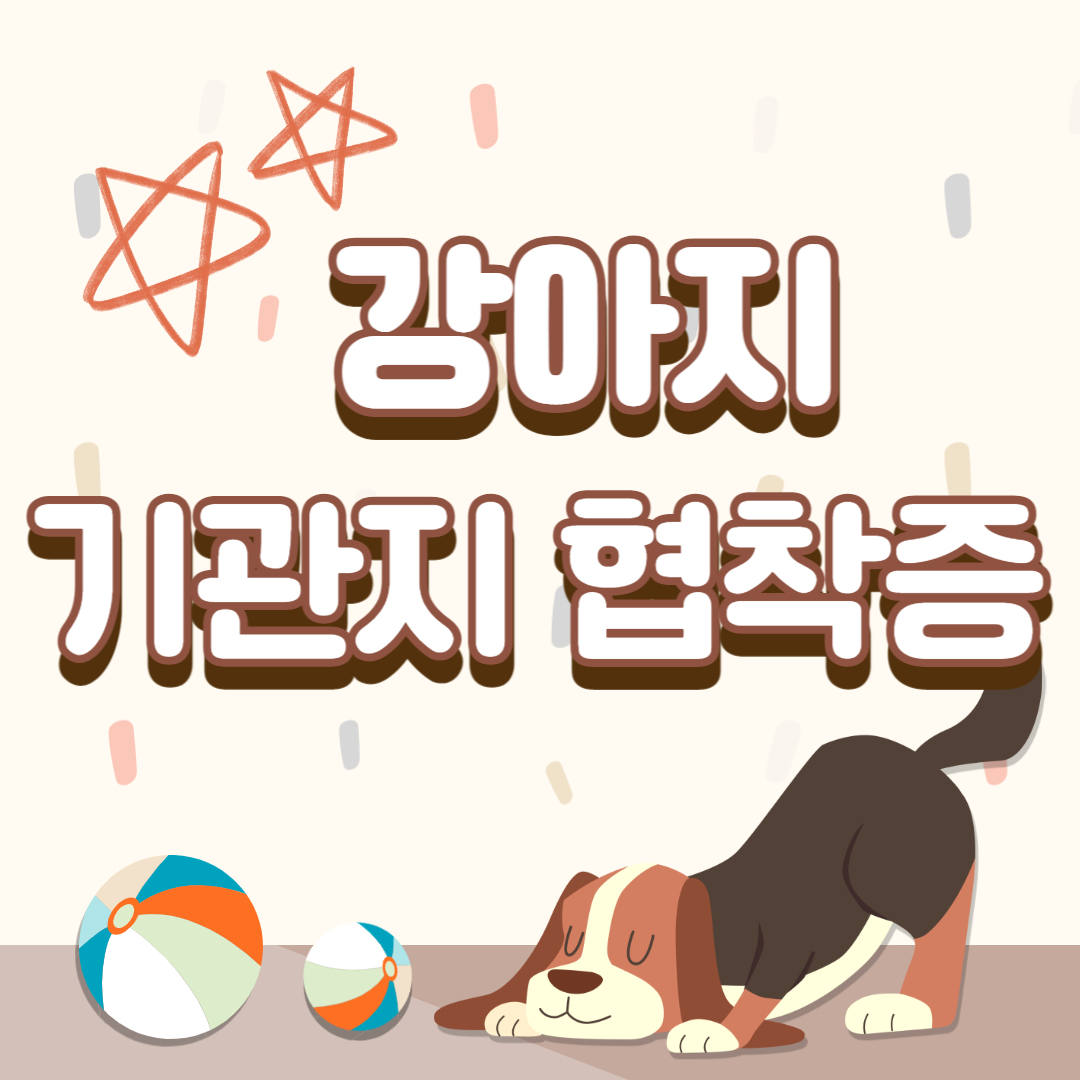 강아지 기관지협착증