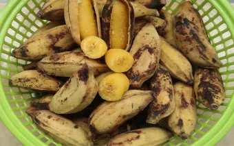 바나나물 효능 원리 부작용_18