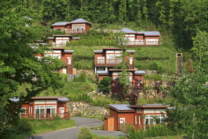 제암산 자연휴양림 전경 이미지