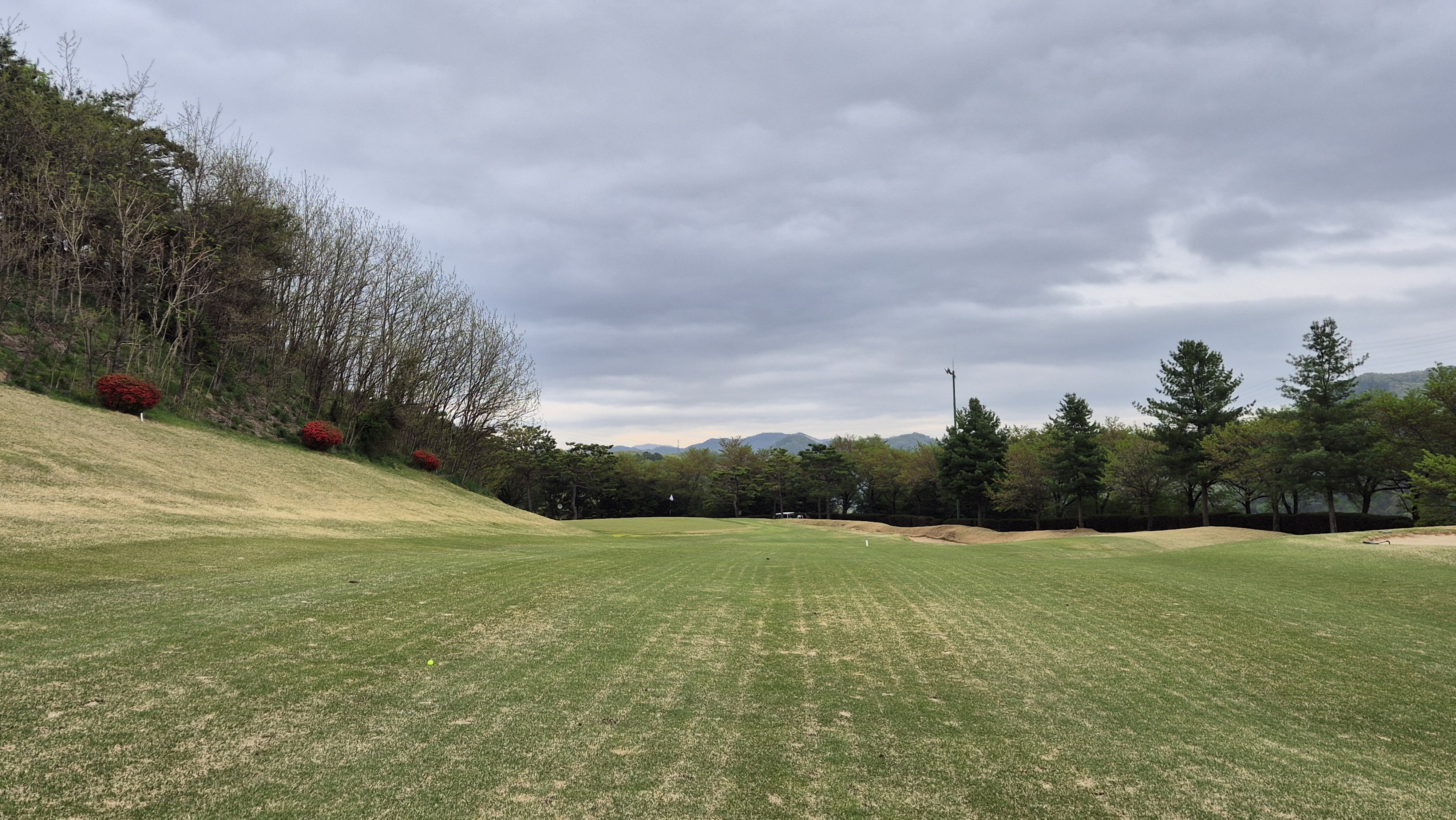 시그너스cc 코튼-라미 코스 사진 및 공략 정보