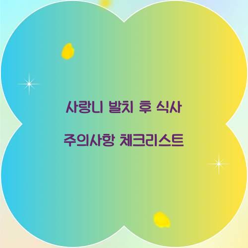 사랑니 발치 후 식사