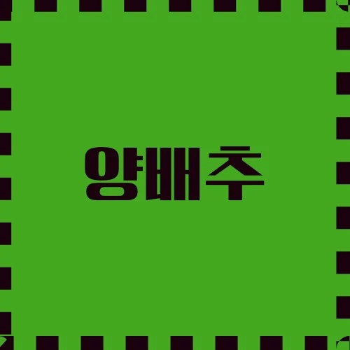 양배추 숨겨진 이야기, 요리방법, 종류, 손질법, 맛있게 찌는 법 등에 대하여 알아봅니다