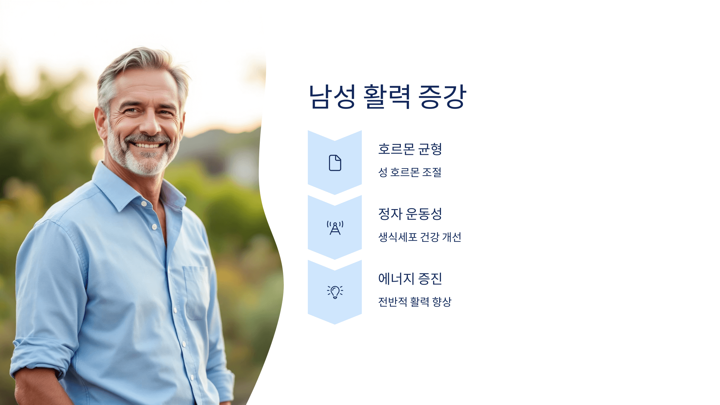 파비플로라 사진입니다.