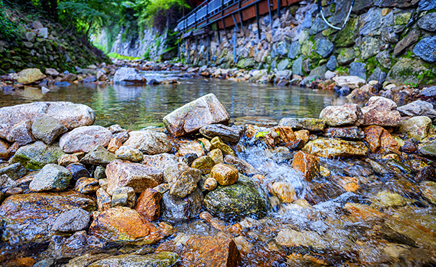 고기리계곡: 음식점과 카페, 자연의 조화