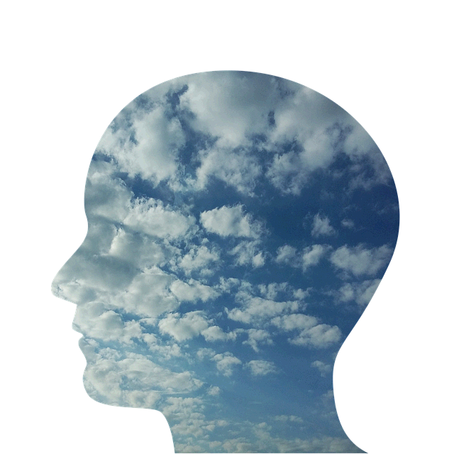 심리학과 철학의 상관 관계를 통한 인간 이해의 깊이 있는 탐구