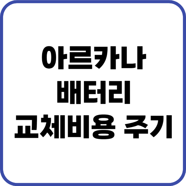 아르카나 배터리