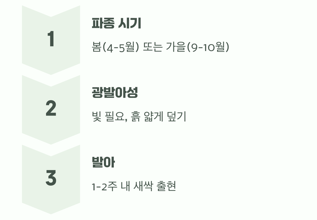 3. 씨앗부터 시작하는 소박한 즐거움