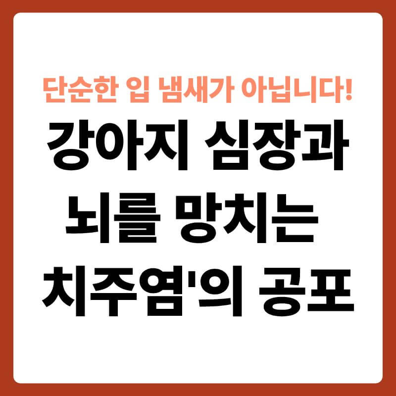 입을 살짝 벌리고 있는 강아지의 이빨과 노란 치석이 낀 잇몸 부위를 보여주는 사진. 잇몸에서 시작된 빨간색 혈류선이 강아지의 몸통을 지나 가슴에 있는 심장과 머리에 있는 뇌의 위치로 뻗어나가는 그래픽 효과가 가미되어 세균의 전신 이동 경로를 시각화한 이미지