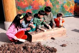 가평 잣 향기 축제