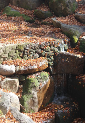 2025 팔공산 단풍 절정 시기 공개! 초보자도 즐기는 가을 등산코스 BEST