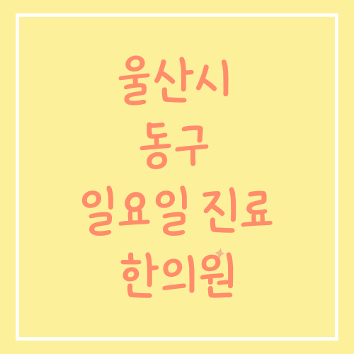 울산시 동구 일요일 진료 한의원