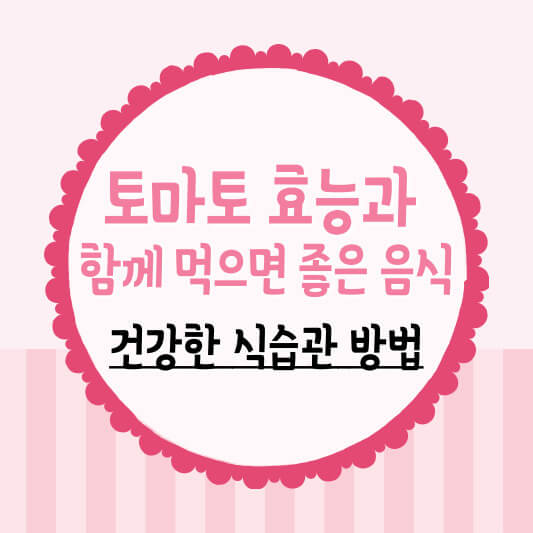 토마토효능