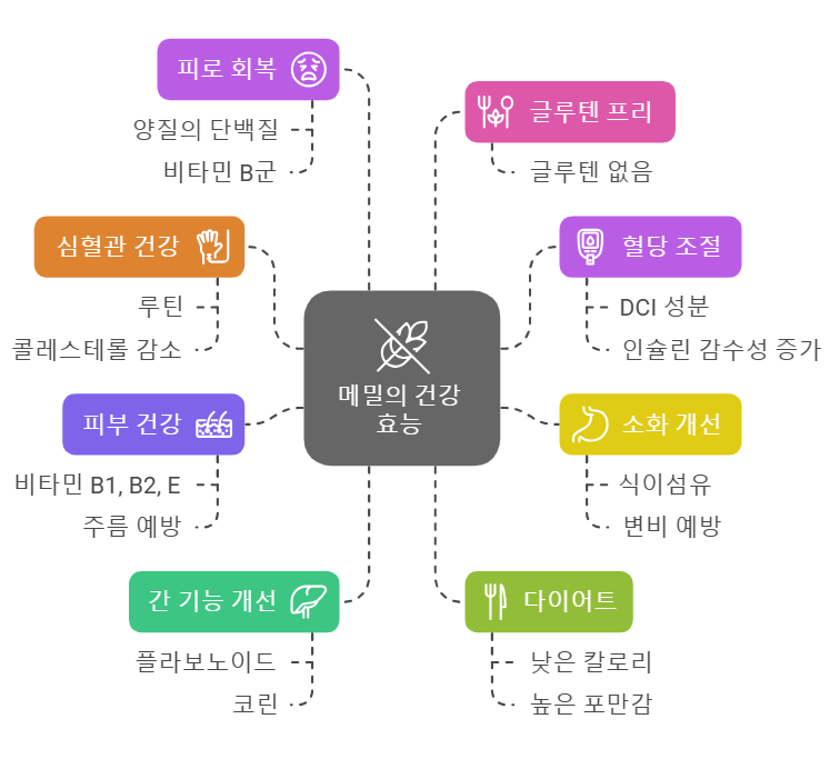 메밀 효능