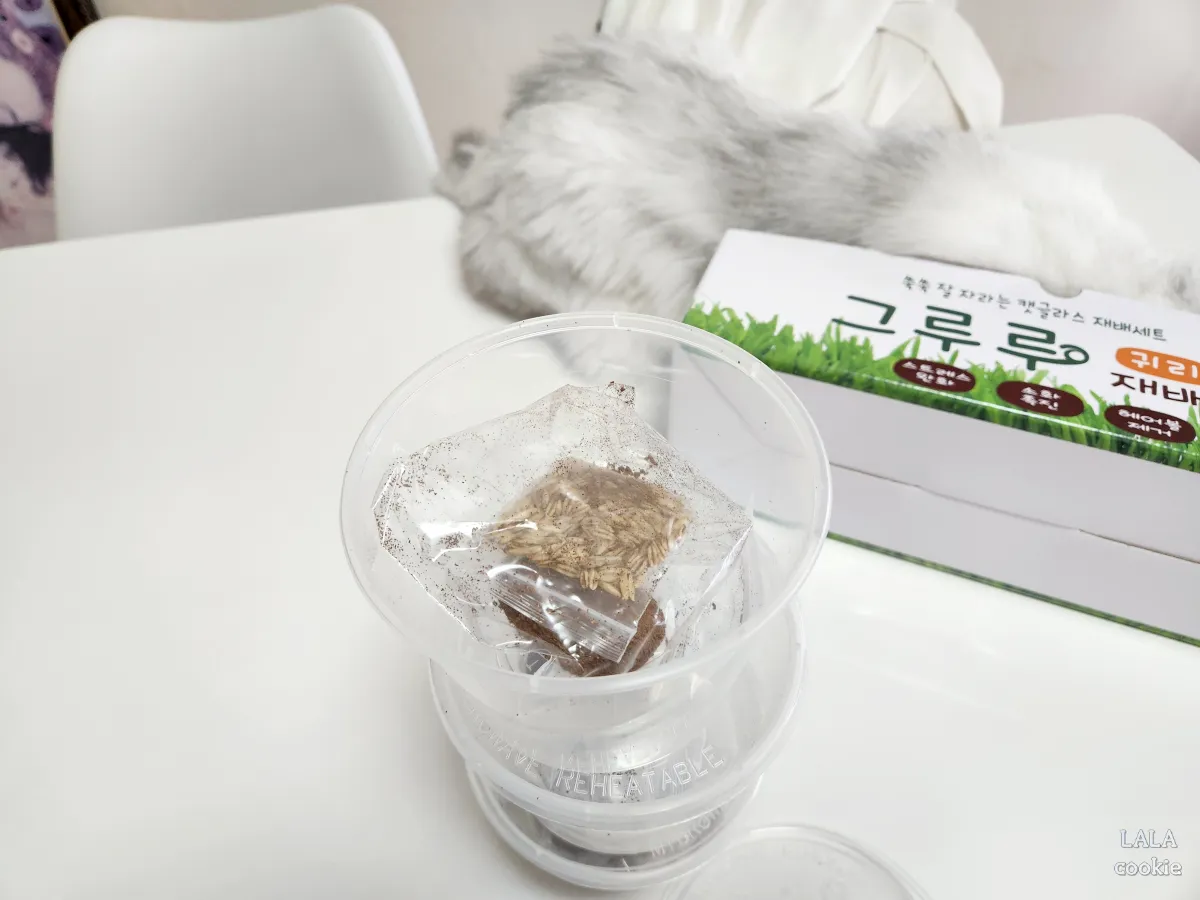 고양이-귀리-추천-그루루-포장-플라스틱통-열어본-모습