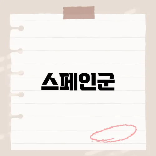 스페인군, 밀덕들이 탐낸 빈티지 이유?