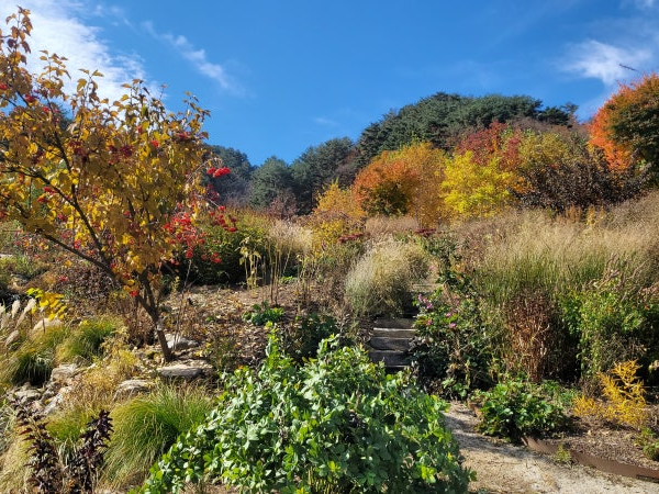 특색있고 아름다운 민간 정원 30선 추천 여행 - 12. 인제 찍박골 정원