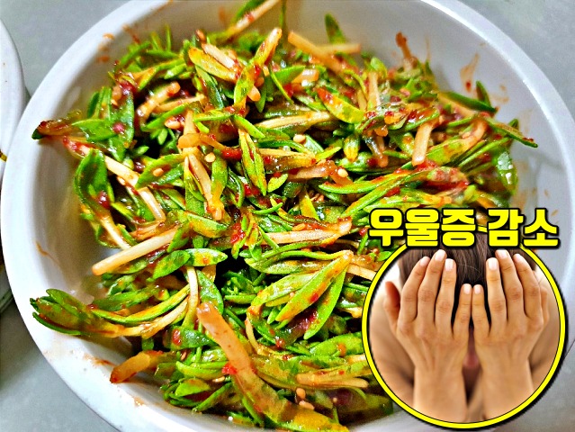 돌나물 효능 여성 주부 갱년기 증상 좋은 식품 음식, 건강 팁줌