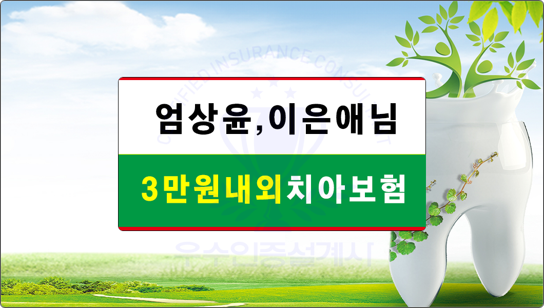 치아보험추천