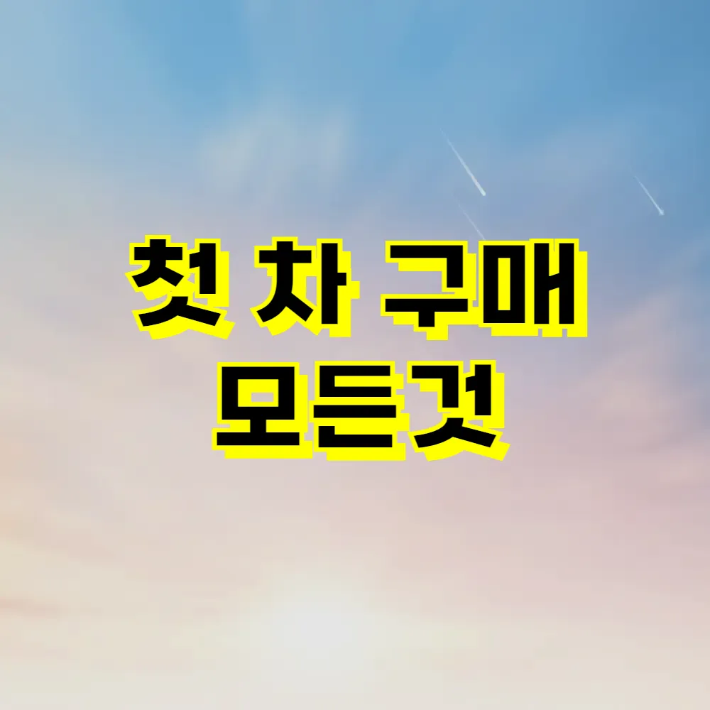 첫 차 구매 모든것