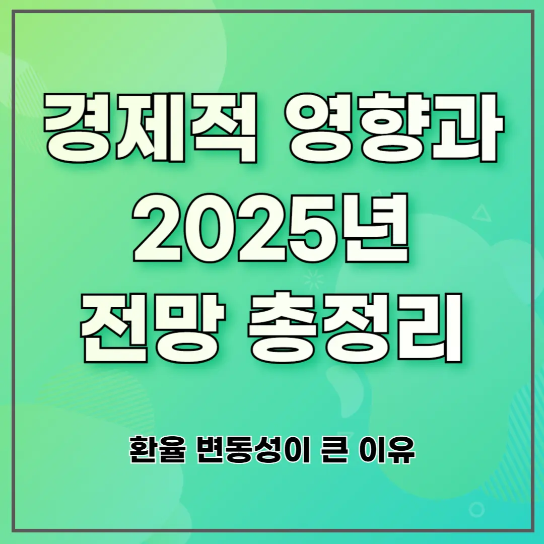 경제적 영향과 2025년 전망 총정리 ❘ 환율 변동성이 큰 이유