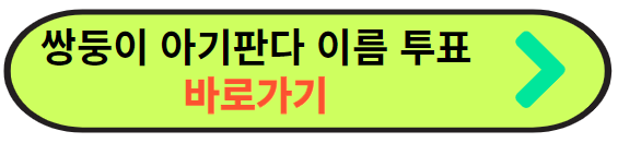 쌍둥이 아기 판다 이름