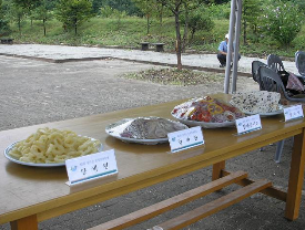 2025 월악산 송계 양파축제 가이드: 제천 한수공원에서 만나는 양파의 향연