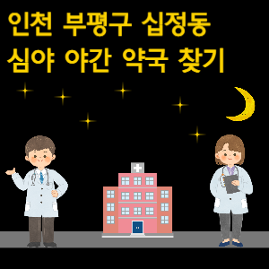 인천 부평구 십정동 심야 야간 약국 찾기