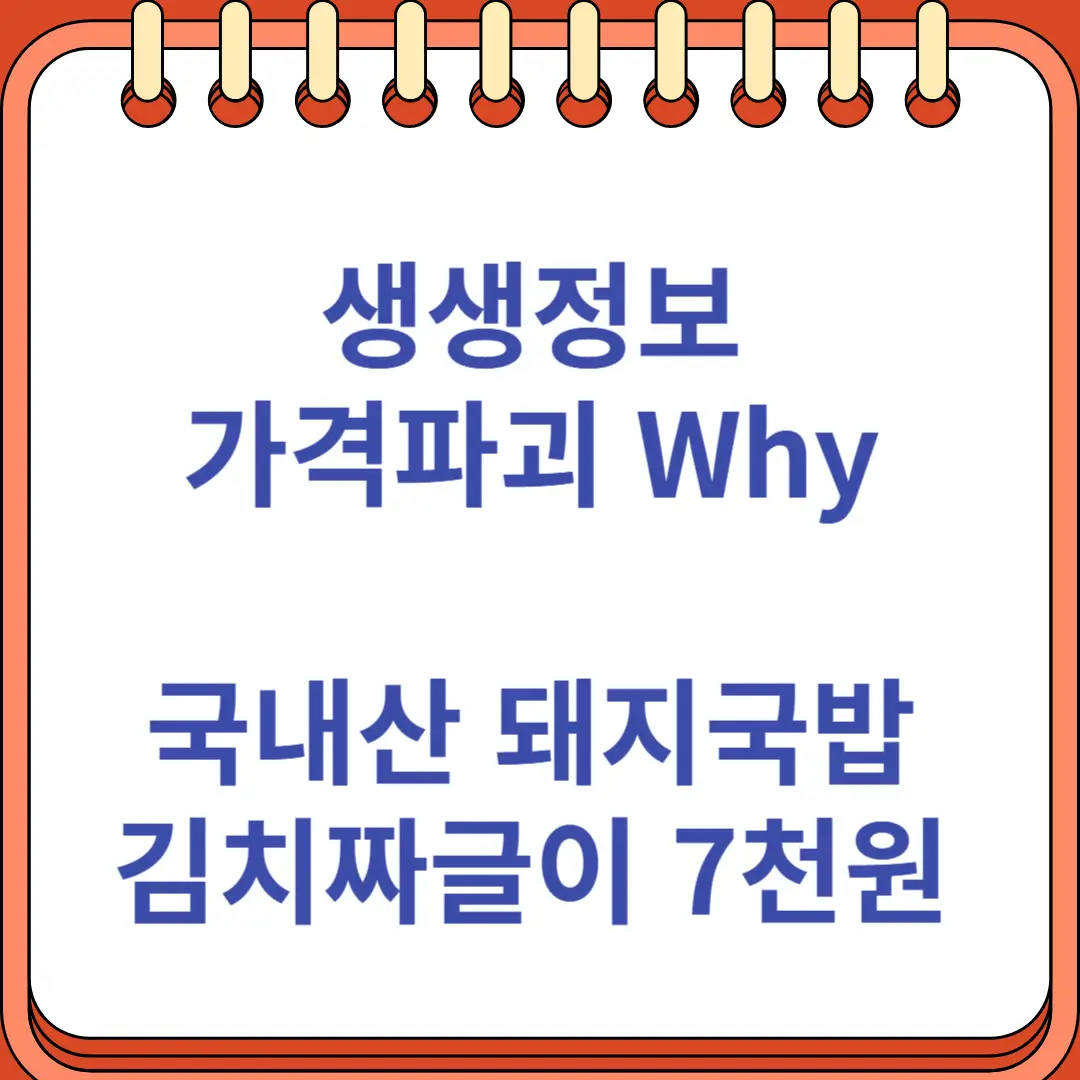 생생정보 가격파괴 Why 국내산 돼지국밥 김치짜글이