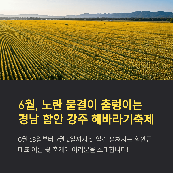 강주 해바라기 축제 2025 일정, 프로그램, 볼거리, 예매 총정리