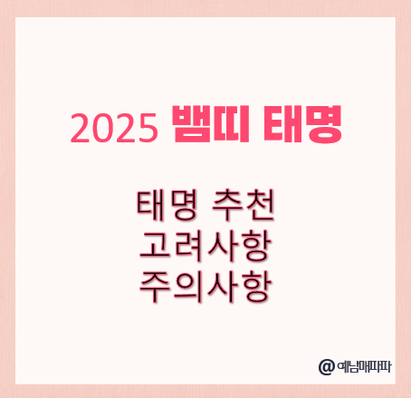2025 뱀띠 태명 추천 태명 짓기 고려사항 주의사항