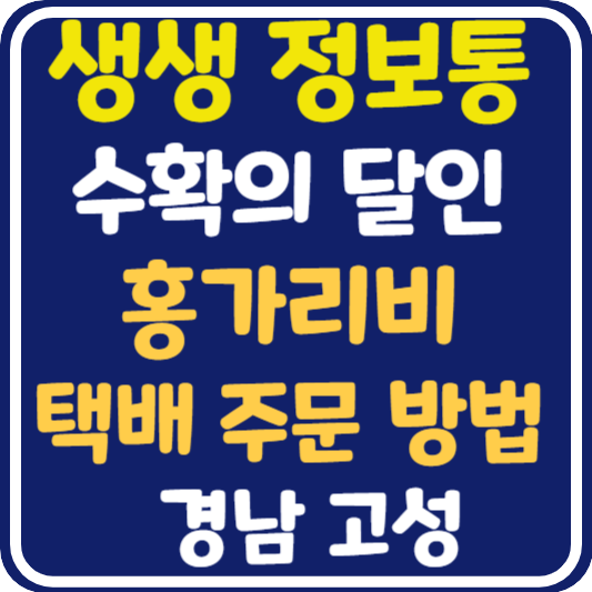 생생정보통 고성 홍가리비 택배 주문 방법 : 수확의 달인