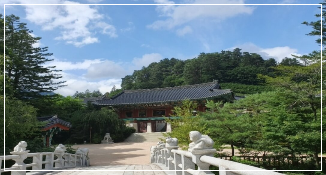 평창 가볼만한곳 베스트10 월정사 전나무숲길(오대산)