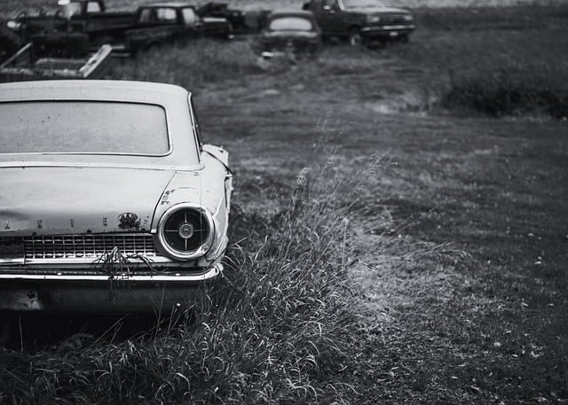 자동차 정기 검사