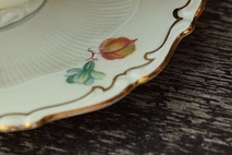 위 건강 영양제