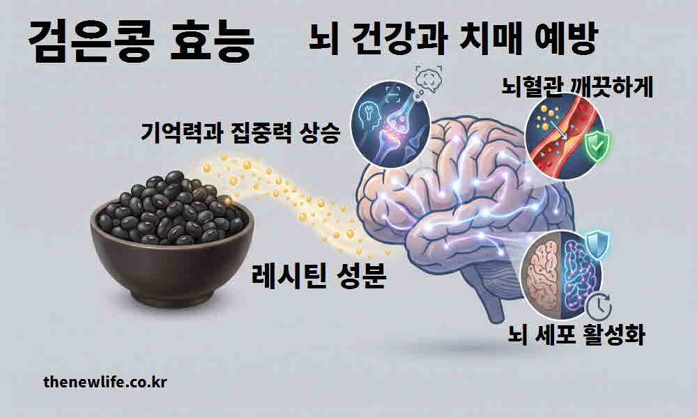 검은콩 효능 뇌 건강 치매 예방