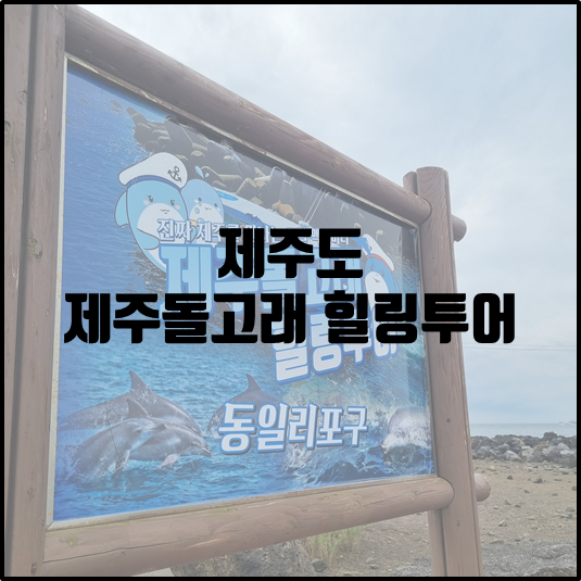 제주돌고래 힐링투어