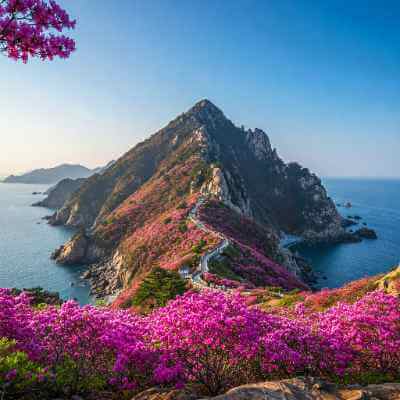 고려산