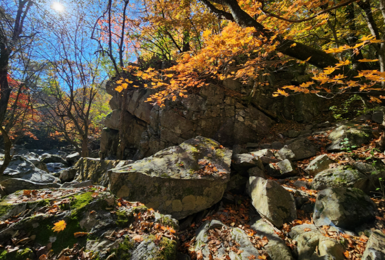 가평 가볼만한곳