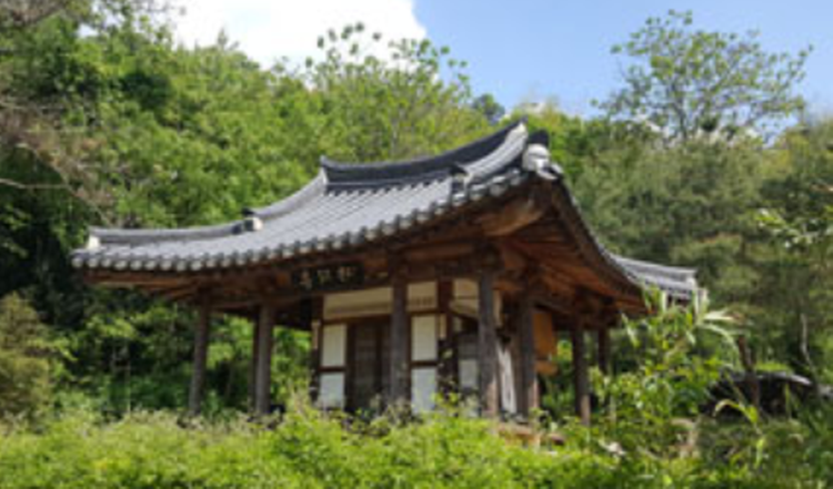 담양 죽녹원