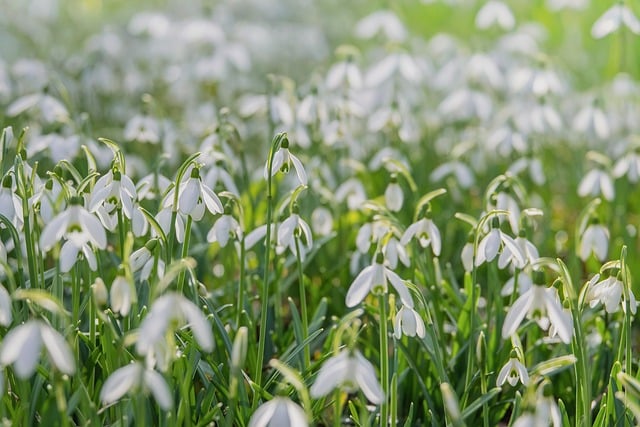 2026년 3월 한달 날씨 예보