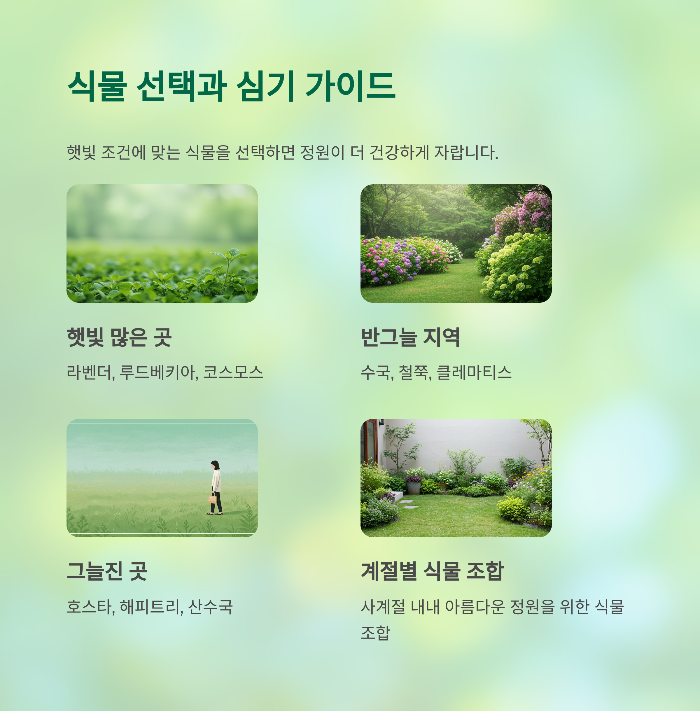 식물 선택과 심기 가이드