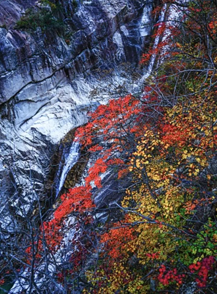 설악산 단풍