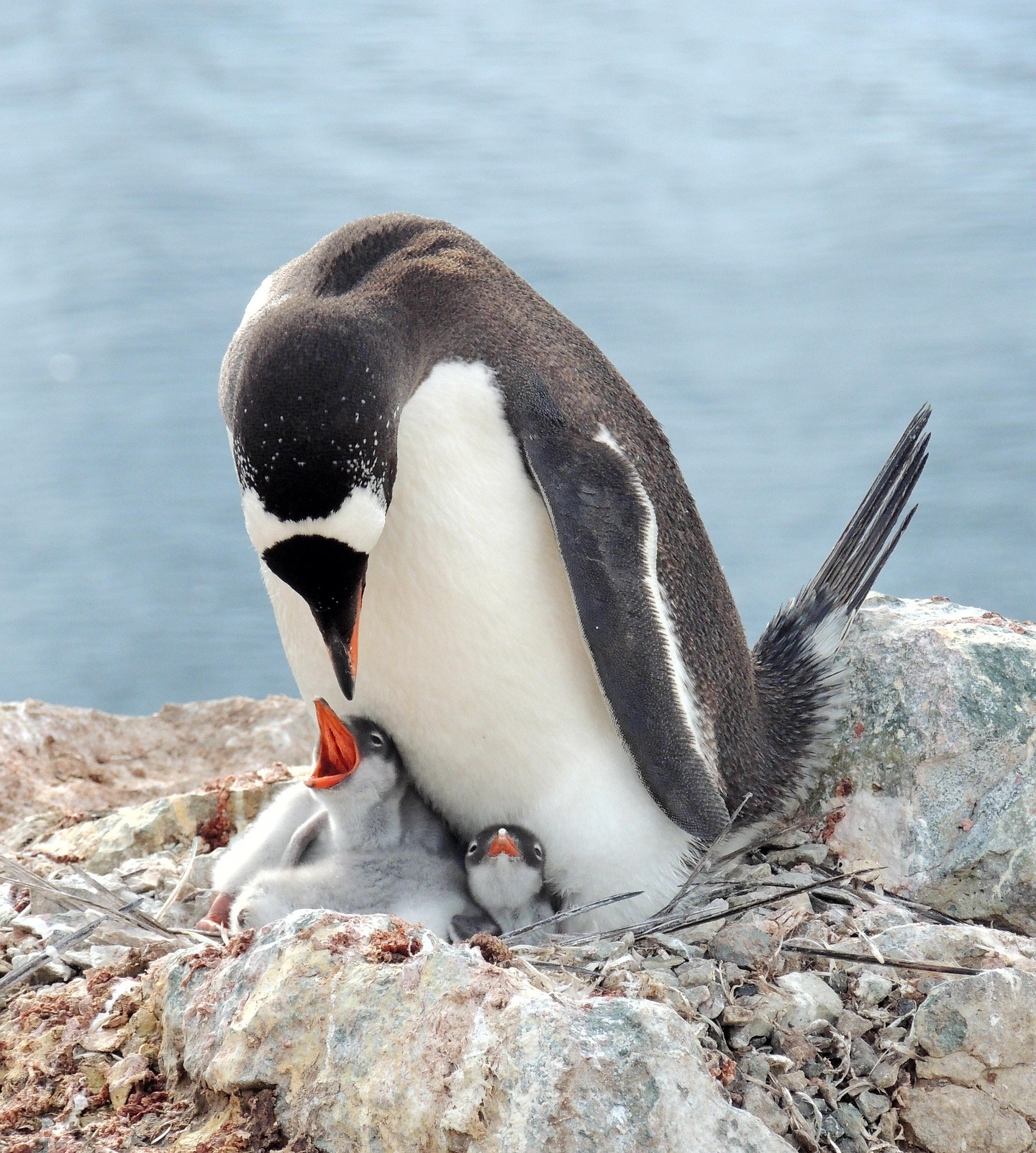  기후 위기는 왜 &lsquo;교육과 노동시장&rsquo;부터 무너뜨리는가?
