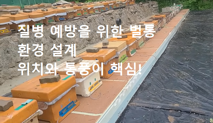 햇빛이 잘 드는 남향 경사지에 적절한 간격으로 배치된 양봉 벌통 설치 환경 사진
