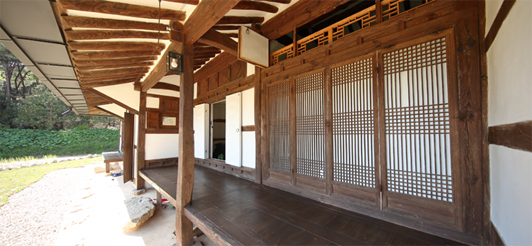 고창 청농원 라벤더 축제