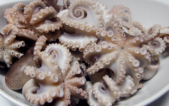 매콤 쭈꾸미 볶음 레시피 다양한 쭈꾸미 요리