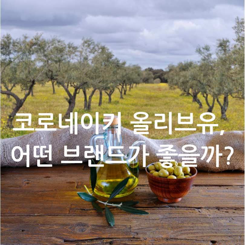 그리스산 코로네이키 올리브유 효능과 선택 팁